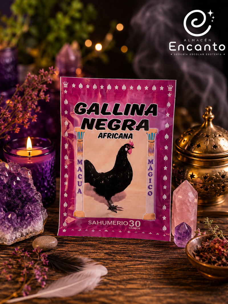 Suhumerio Gallina Negra Africana